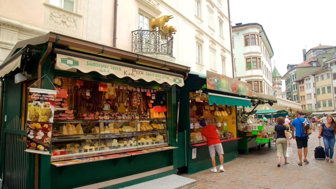 Vanga * Bolzano